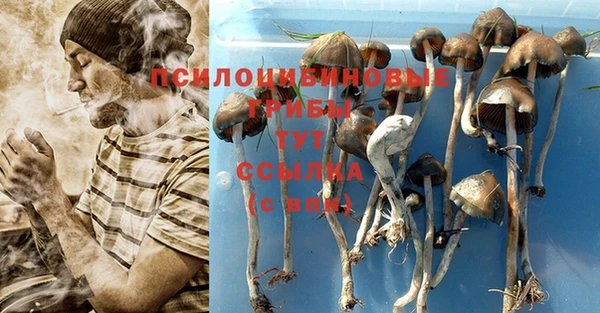 СК Баксан