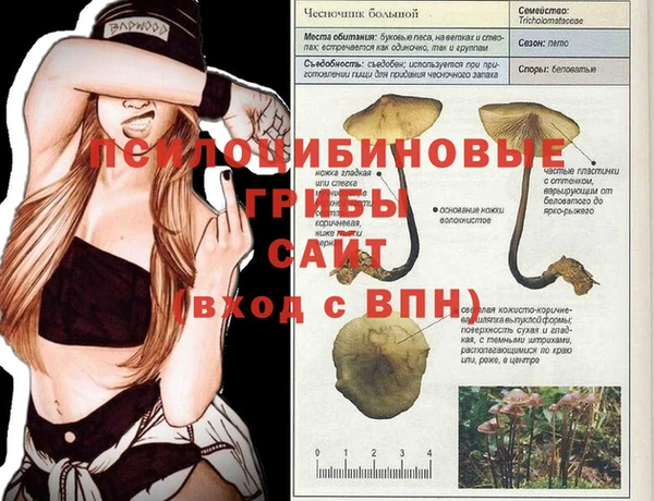 спайс Балабаново