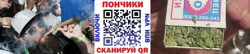 Бошки Шишки ГИДРОПОН Лесосибирск